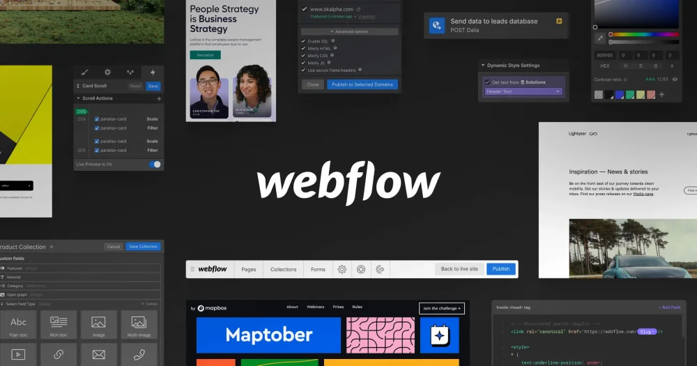 Webflow Development in Australia